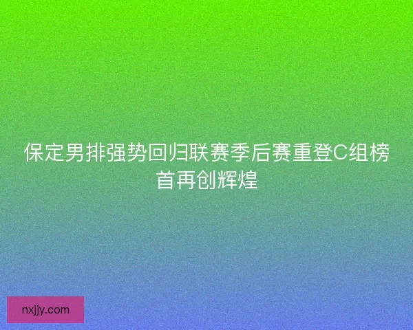 保定男排强势回归联赛季后赛重登C组榜首再创辉煌